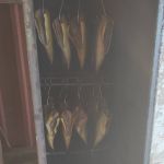 IMG_20210306_133951_m.jpg
